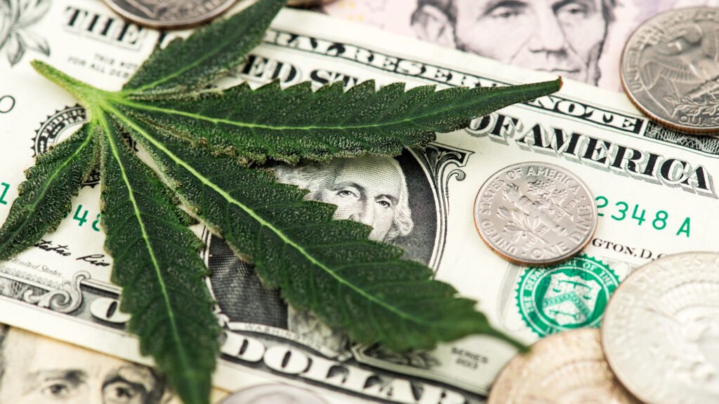 Explore Potentially Lucrative Green Investments: 3 Must-Have Cannabis Stocks Today